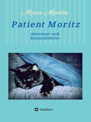 cover image of Patient Moritz